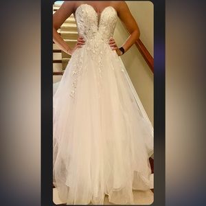 New wedding dress and veil